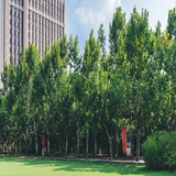 今年秋季環(huán)境好的3+3中專(zhuān)衛(wèi)校招生對(duì)象 今年秋季環(huán)境好的3+3中專(zhuān)衛(wèi)校招生對(duì)象